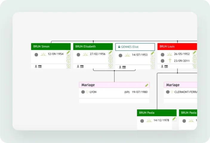 Interface Genealex — Arbre généalogique